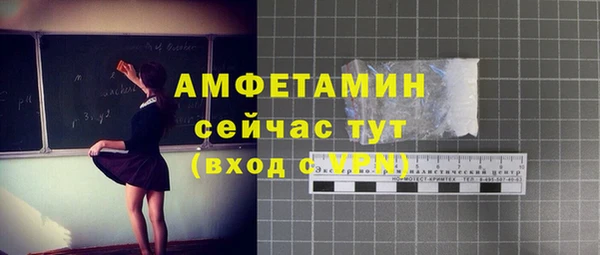 прущие грибы Сатка