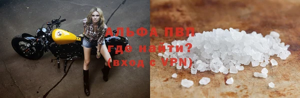 прущие грибы Сатка