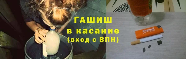 прущие грибы Сатка