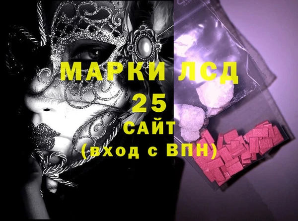прущие грибы Сатка