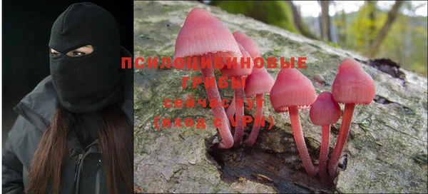 стафф Абаза