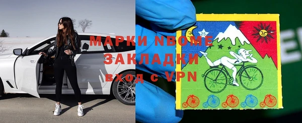 прущие грибы Сатка