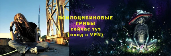 прущие грибы Сатка