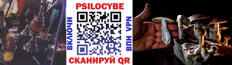 Галлюциногенные грибы Cubensis продажа наркотиков Петров Вал